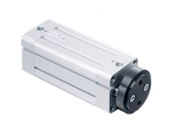 Ø32-Ø100 PTRM anti-rotatie/twin-rod
