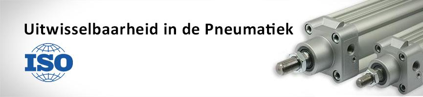 Uitwisselbaarheid in de Pneumatiek